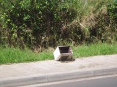 Picture of aulet