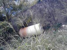 Picture of venere