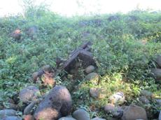Picture of oie-waw
