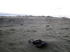 Picture of oie-waw
