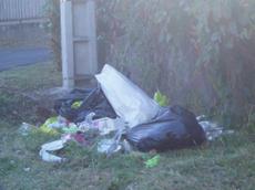 Picture of aulet