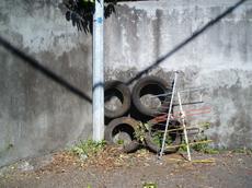 Picture of aulet