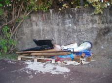 Picture of aulet