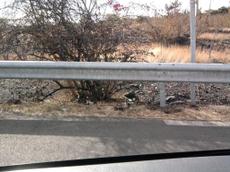 Picture of mac-harel