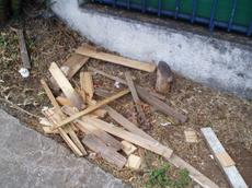 Picture of aulet
