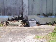 Picture of aulet