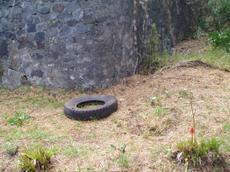 Picture of aulet