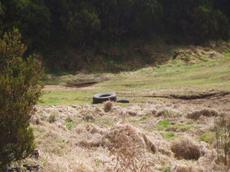 Picture of aulet