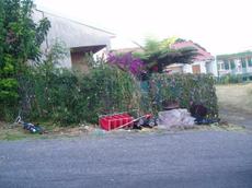 Picture of aulet