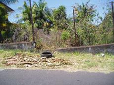 Picture of aulet