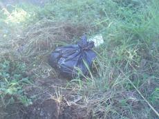 Picture of aulet