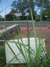 Picture of aulet