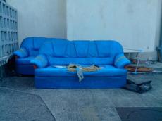 Picture of venere