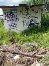 Picture of aulet