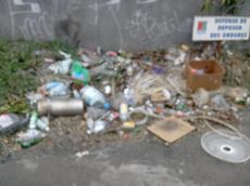 Picture of yan