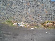 Picture of aulet
