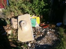Picture of aulet