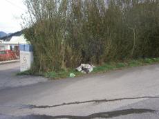 Picture of aulet