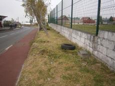 Picture of aulet
