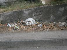 Picture of aulet