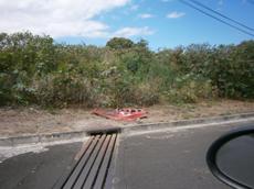 Picture of aulet
