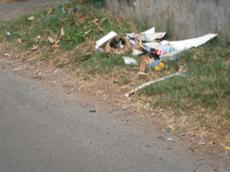 Picture of aulet