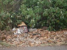 Picture of aulet