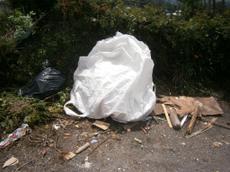 Picture of aulet
