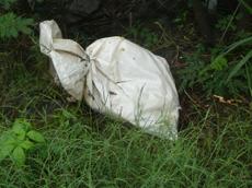 Picture of jeanclaude7143