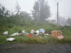 Picture of aulet