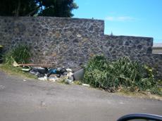 Picture of aulet
