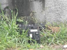 Picture of aulet