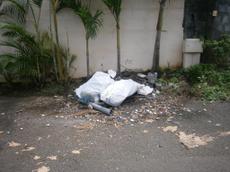 Picture of aulet