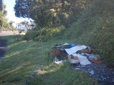 Picture of aulet