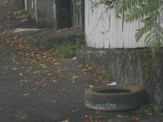 Picture of aulet