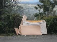 Picture of aulet