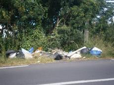 Picture of aulet