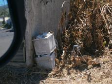 Picture of aulet