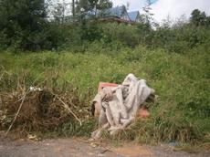 Picture of aulet