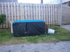 Picture of aulet