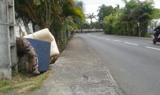 Picture of aulet