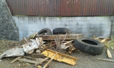 Picture of aulet