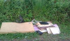 Picture of aulet