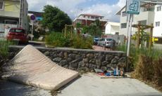 Picture of aulet