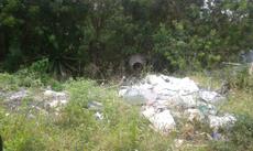 Picture of aulet