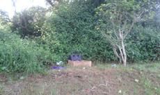 Picture of aulet