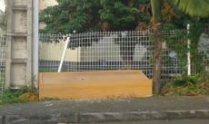 Picture of aulet