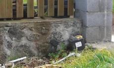 Picture of aulet