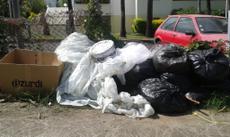 Picture of aulet