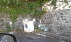Picture of aulet